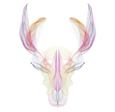 portfolio-image